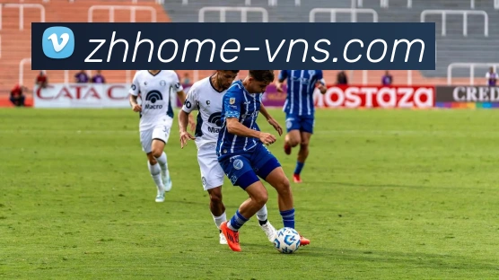 威尼斯人官网平台生态图